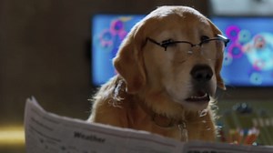 Cats & Dogs 3: Paws Unite (Video 2020)