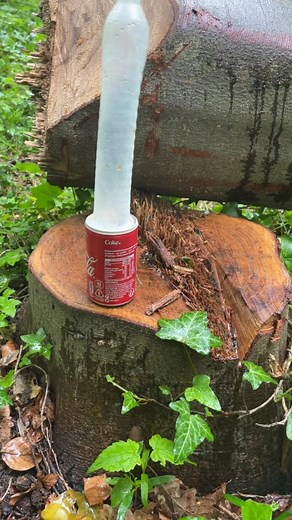 Test coca mentos 😱👀😱#test #experiment #Foryou #wow #omg #fyp #viral #fy #durex #play #crazy #coca_cola_tu #mentos #coca