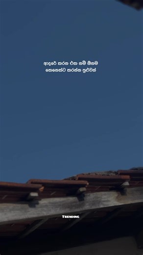 Emotional Connection and Healing