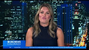 Nonprofit offers free vet care to those experiencing housing insecurity