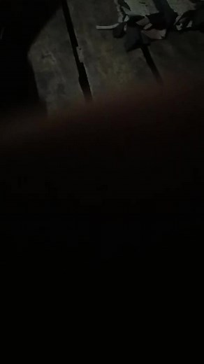 Exploring Dark Brown Wooden Textures and Patterns