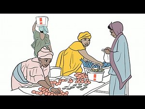 What does ActionAid actually do?