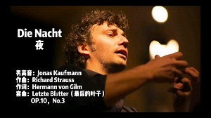 施特劳斯艺术歌曲《Die Nacht夜》德语语音朗读/德语范读