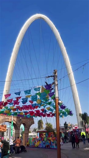 青岛安然（拒私聊） on TikTok