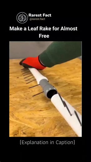 Rarest Facts | Educational Videos 🧠 on Instagram: "The post shares a 21-second DIY video tutorial demonstrating how to build a low-cost leaf rake by hammering nails into PVC pipes for tines, securing them with a blowtorch to melt the plastic, and attaching to a wooden handle, ideal for yard maintenance. Posted by Emeccasyam_, a casual content creator focused on positive daily tips, it has garnered 142 likes and 136 mostly Indonesian replies praising the "cool idea" and simplicity, reflecting vi