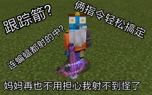 【我的世界】 跟踪箭? 只需两条指令轻松搞定！炒鸡简单