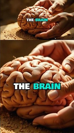 Mummification Process, This Is How the Brain Was Removed 😳 | Ancient Egypt