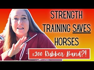 $200 Rubber Bands vs $5,000 Vet Bills: Is the Equiband Worth $200?