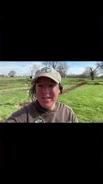 Planting a school's food forest in Illinois