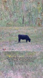 Kevin Good says we’re not seeing heifer retention just yet, but we are starting to hit a plateau. | U.S. Farm Report