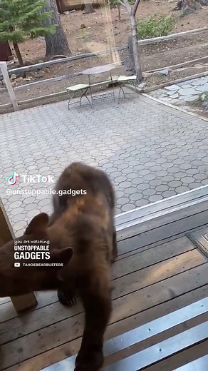 Bear Busters Electric Mats: Effective Animal Deterrents