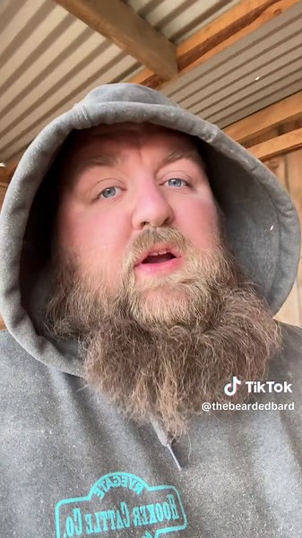 Adorable Akbash Anatolian Shepherd Puppies on the Farm