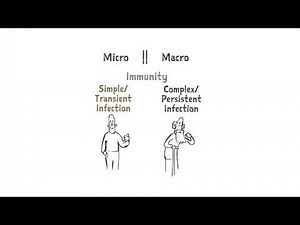 Week 1 Video 2: Micro and Macro Parasites