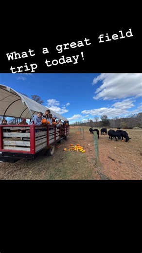 Such a fun field trip today with McDeeds Elementary! You guys were such a great group and it was a pleasure! We didn’t even mind the cold! From the petting zoo, gem mine, hayride, craft area and to top it off with Kona ice, such a great time was had by all! Thank you guys for choosing up to spend your day with! #afairviewfarm #fieldtriponthefarm #pumpkinchunking | A Fairview Farm