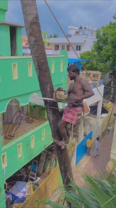 124K views · 755 reactions | 8610339350 tree cutter Suyambu | Tree Cutter Suyambu | Facebook