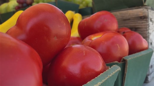 Stanislaus County declares emergency to save tomato crop