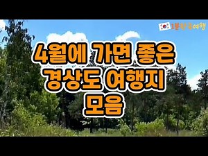 4월에 가기 좋은 경상도 여행지 모음 | 국내여행추천, 경상도가볼만한곳, 경상도여행추천