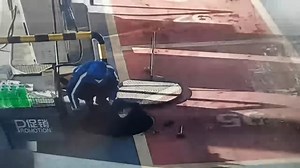 Dog falls into manhole and is rescued in Liaoning, China