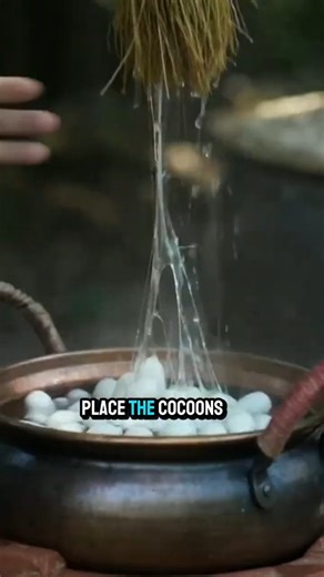 HOW SILK IS MADE?#HowSilkIsMade #SilkMakingProcess#SilkProduction#Sericulture#SilkWeaving#SilkFabric