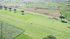 Hovering helicopters shot from the cockpit of flying aircraft, helicopters airfield in the countryside, panoramic view from flying airplane