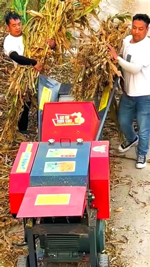 "Super Fast Crop Chopping Machine 🌾 | Powerful Farming Tool #FarmingMachine #CropCutter #ViralVideo"