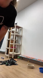 18K views · 561 reactions | Turn the volume up for best results #scienceexperiments #cats #catsounds #letstryit | The Cattery Cat Shelter | Facebook