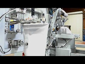 Model 2450 Sonic Seal Auger Valve Bag Filler with Automatic Bag Placing