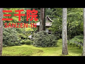 大原【三千院】京都 KYOTO SANZEN-IN 新緑と青苔・紫陽花