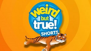 Weird But True! Shorts
