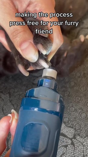 Dog Nail Grinders: Safe Cutting Techniques for Dog Owners