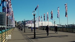 41K views · 455 reactions | She's more than a century old but the Pyrmont Bridge is as crucial to the city as ever. Today she's also looking as good as ever, thanks to a multi-million dollar refurbishment for her birthday. MORE: 9Soci.al/evOf30smXZy #9News | Nightly at 6pm | 9 News Sydney | Facebook