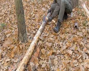 16K views · 364 reactions | Constructing a log cabin in the forest, including a shed by the hut and a workbench in the middle of the construction. | Ｍｏｏｎ Ｍｏｏｎ | Facebook