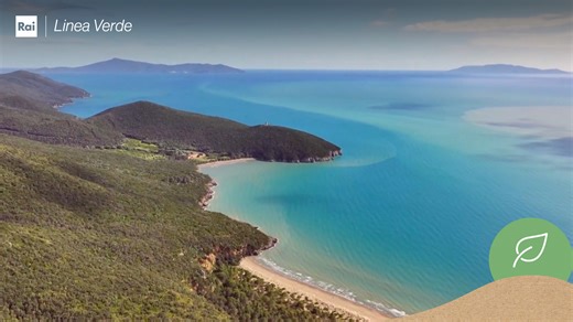 Itinerario di #LineaVerde 🍃 Peppone, Livio e Margherita inizieranno il loro cammino da Civitella Paganico, nella vallata del fiume Ombrone. Da lì Peppone si sposterà ad Alberese. Livio racconterà la vita dei pescatori della Laguna di Orbetello. Margherita attraverserà il Parco della Maremma, questo meraviglioso gioiello di biodiversità. Appuntamento alle ore 12.20 su Rai1 e RaiPlay. | Linea Verde - Rai