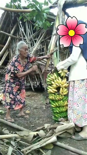 Alhamdulillah 😍Panen pisang #PanenPisang #BananaHarvest #HomeGarden #KebunSendiri #HasilKebun#