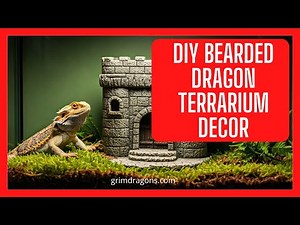 DIY Bearded Dragon Terrarium Décor