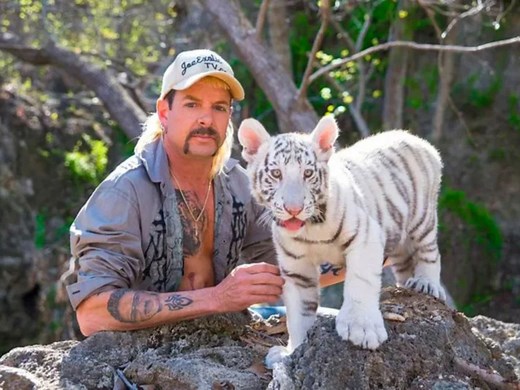 17 melhores documentários para assistir na Netflix