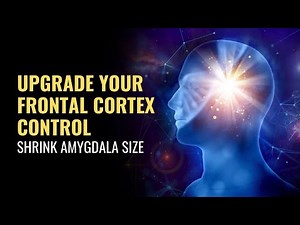 Shrink Amygdala Size | Upgrade Your Frontal Cortex Control | Overcome Fear Response and Anxiety