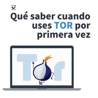 Tor Browser ‍暈 es uno de los navegadores conocido por proteger la...