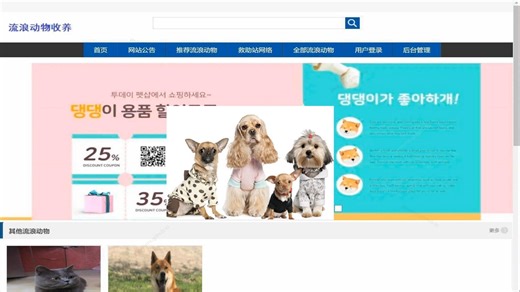 基于javaweb和mysql的ssm流浪动物收养系统(java+ssm+jsp+jquery+mysql) java课程设计 数据库设计 mysql java