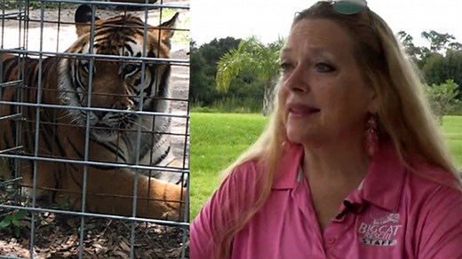 Carole Baskin's 'Big Cat Rescue' closes its doors for good