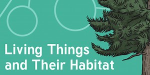 Living Things and Their Habitats - Year 4 Science Resources
