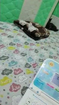 typing game add letters abc 2 - 2