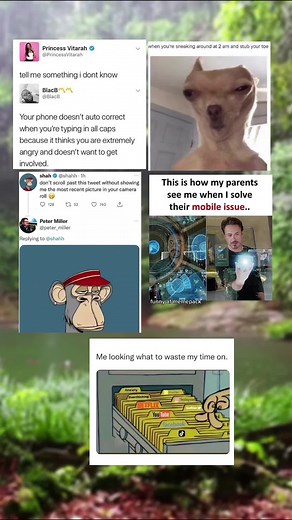 that dog looks high as a kite #memepack #memes #fyp #xyzbca #funny #makethisviral #dankmemes #viral