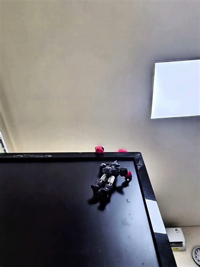 "The Smallest Robot Hero