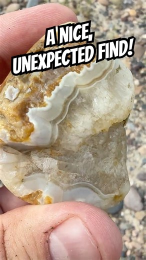 TSA! #thefinders #agate #montana #adventure #rockhounding #outdoors #yellowstoneriver #dog