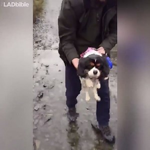 3M views · 8.9K shares | She's still swimming even when she's lifted over a puddle  | LADbible | Facebook
