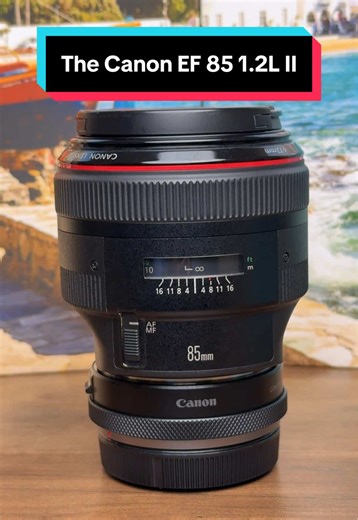 Look who’s wearing the adapter today — the Canon EF 85mm f/1.2L II. I’ve got a shoot this weekend, and I might take it along and see how it holds up in a real session. #EF85mmF12LII #CanonEF #LensAdapter #PortraitLens #CanonShooter