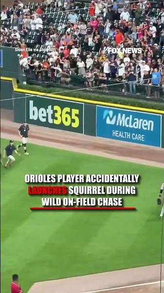 Squirrel goes AIRBORNE in WILD MLB CHASE #foxnews #news #us #fox