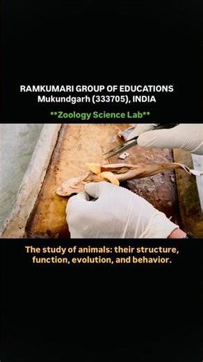 “Zoology Lab Practical | Fish Dissection Live Demo #zoology #doctor #fish