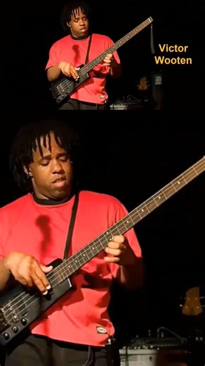 Steinberger Bass: Features